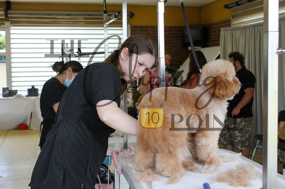 The Crumb 2026 Salon Freestyle — Photo 12