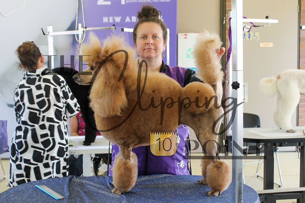 The Crumb 2026 Poodle — Photo 52