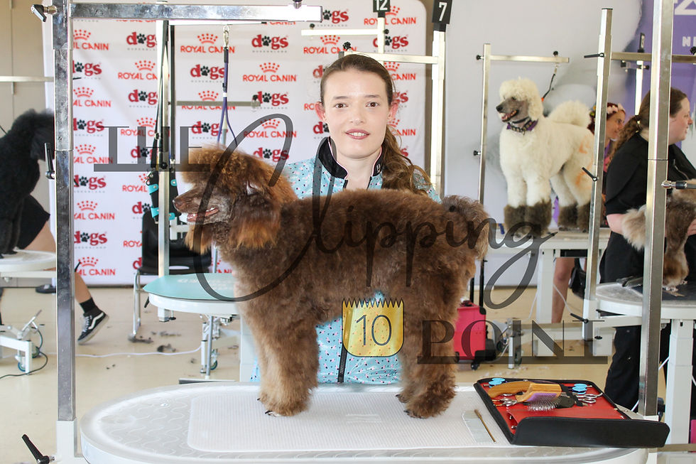 The Crumb 2026 Poodle — Photo 3