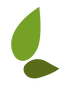 eco