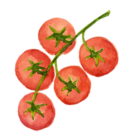 Tomatoes