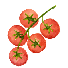 Tomatoes