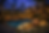 Tropical Havana themed evening by pool (1).png