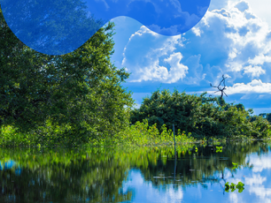 Por que integrar biodiversidade às políticas corporativas