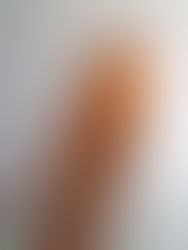 Sunburst, Perth Western Australia