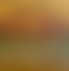 Coopsy of Coopers Hill