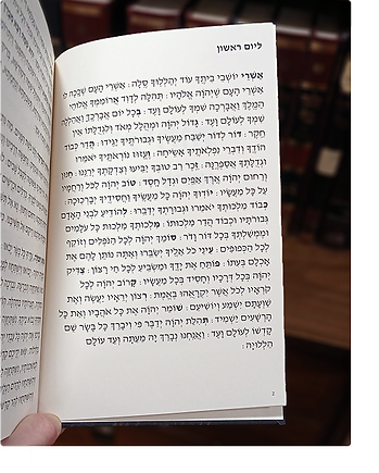 Preview of inside layout of a dyselxia-friendly Slichos sefer