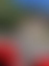 Spirited Ride Thru the Mountains of Colorado