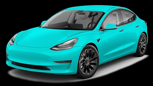TESLA WITH PPF