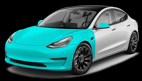 TESLA WITH PPF