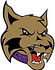 23a119_61c77f0568894ae5bddcd8abef1b4790_mv2-removebg-preview.png