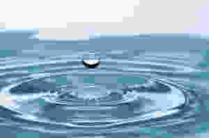 Drops of water