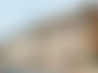 Landlords and MEES (Minimum Energy Efficiency Standard)