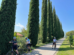 Tour 2 (5).JPEG