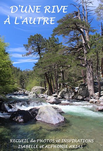 Les différentes espèces de carnassiers