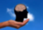 hand holding a head with brain visible in front of blue sky