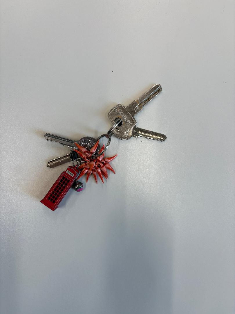 Les clefs de Arsseni.jpeg