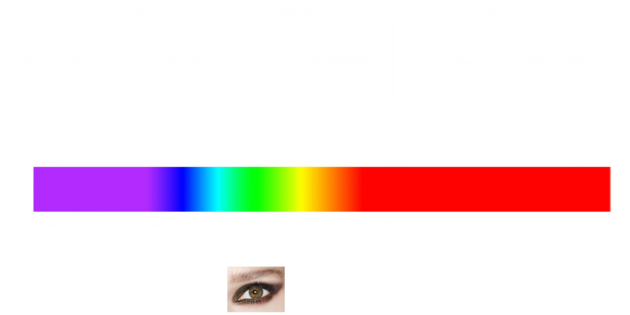Spectrum