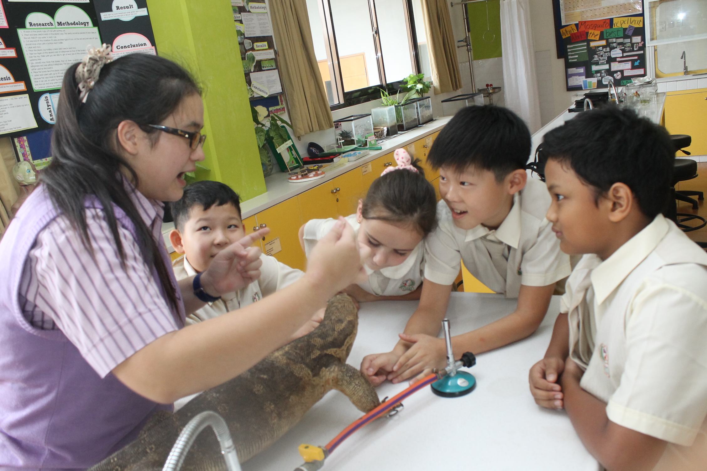 Ichthus School, Wisdom in Him; Nurturing Excellence