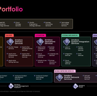Amdocs portfolio