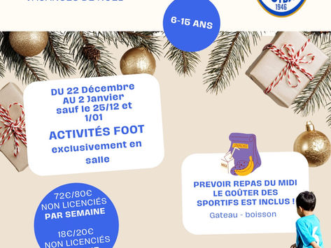affiche stage noël