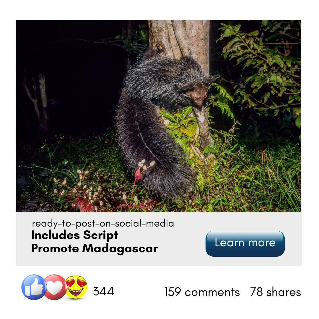 MADAGASCAR DESTINATION POSTS