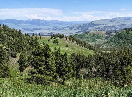 Day 25: Road Trip in the Time of Covid