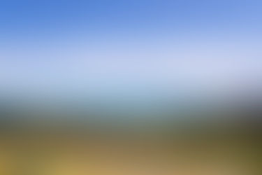 Day 15/16/17/18: Road Trip in the Time of Covid