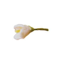 עיצוב ללא שם - 2026-01-01T145236.762.png