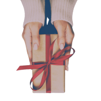 עיצוב ללא שם - 2026-01-01T150407.641.png