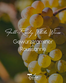 October Content Calendar-13.jpg