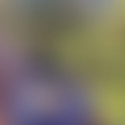  ¿Y si la cura estuviera en el bosque?