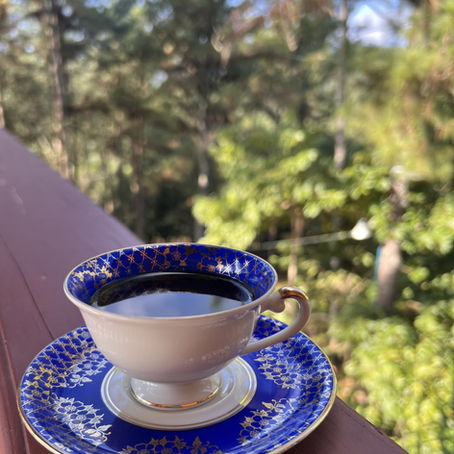  ¿Y si la cura estuviera en el bosque?