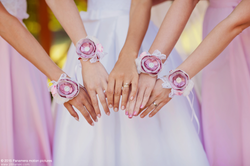 12027304_10153088973844109_5514164213630233606_o