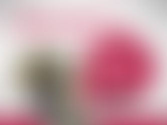 MENOS IMPOSTO, MAIS ALÍVIO