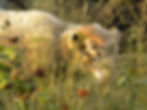 DSCN1868.jpg