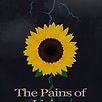 stephanie's cover finallll.jpg