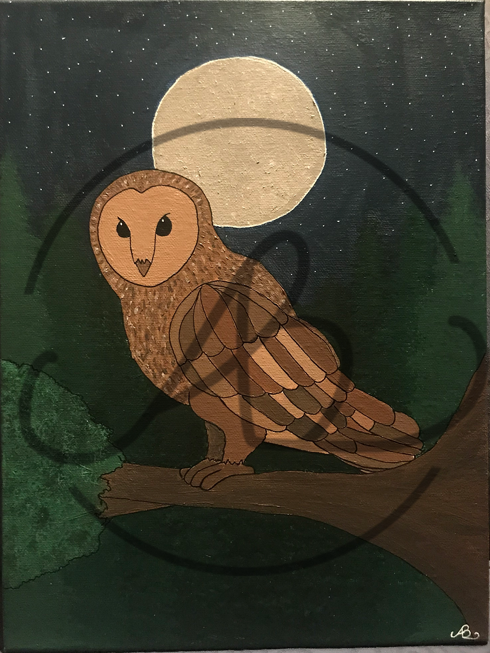 Owl Canvas Painting