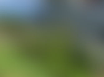 Planera en mindre del av trädgården