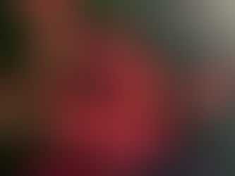 Växter med höstfärg