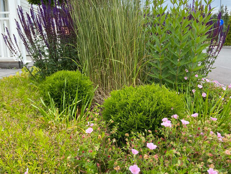 Planera en trädgård