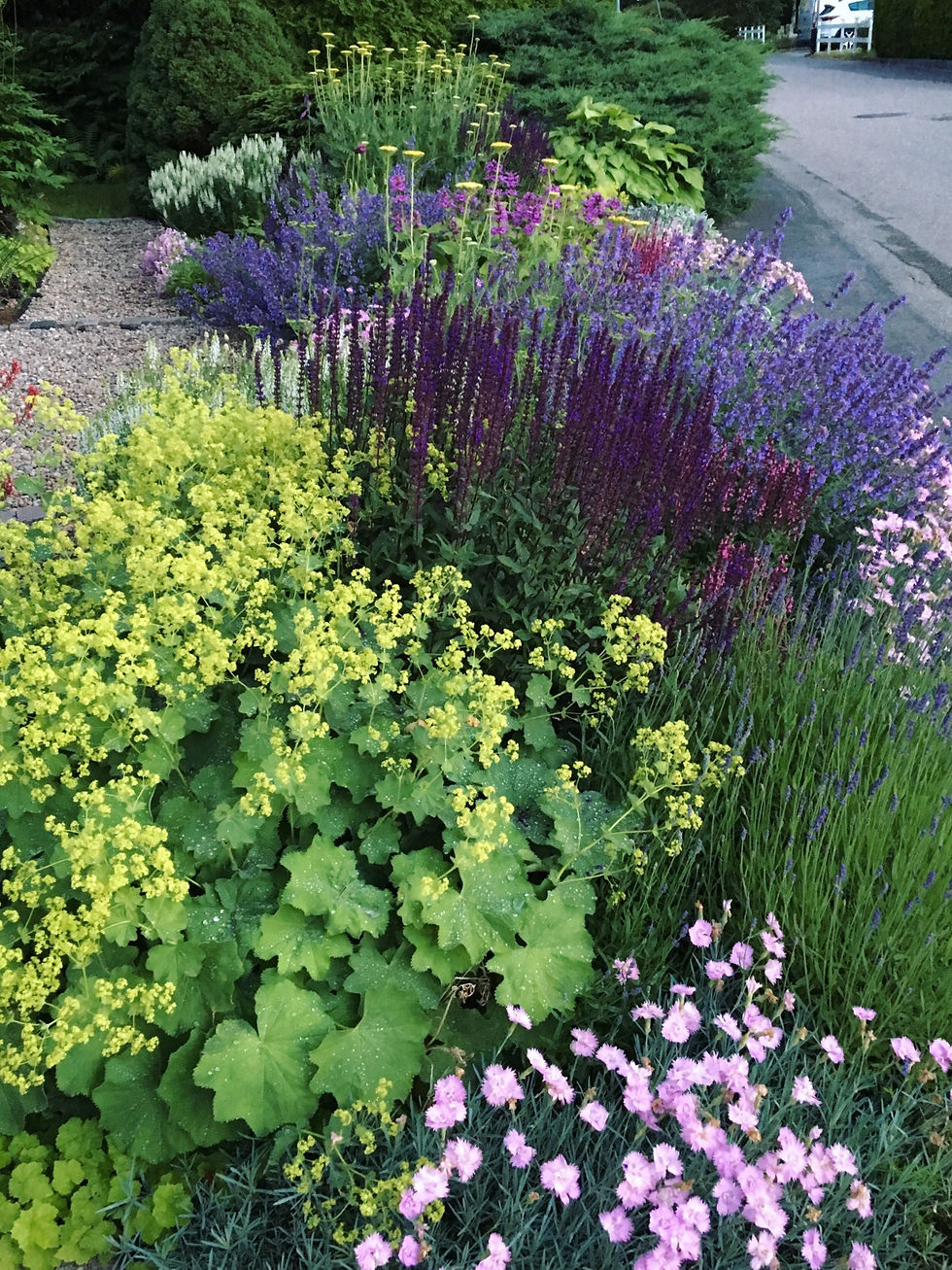 lättskött trädgård