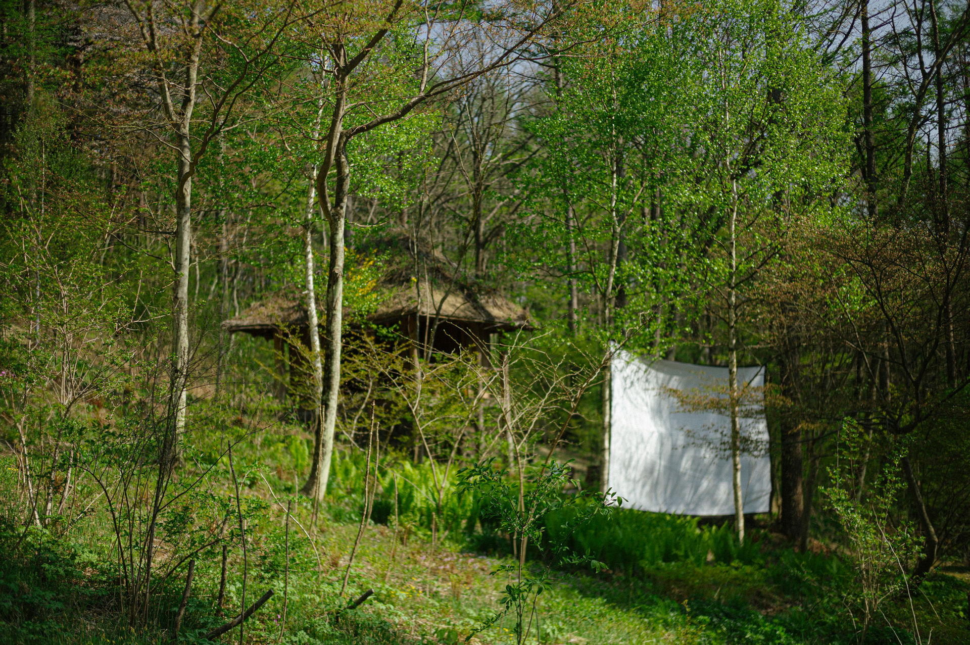 L1023213.jpg