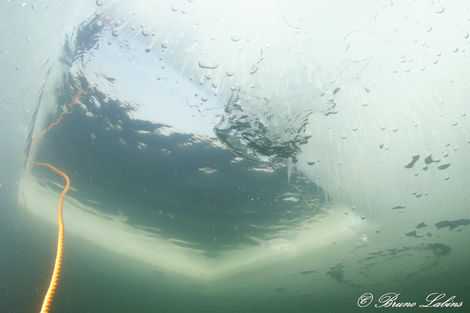 Plongée sous glace