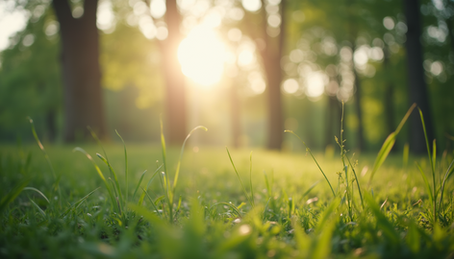 Understanding IR-2025-103 and Its Implications from IRS Newswire