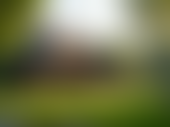 Three Empowering Reasons Why Every Female Entrepreneur Needs an Estate Plan to Safeguard Her Legacy