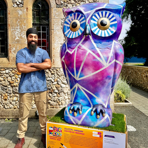 the big Hoot trail, Chichester and Arundel owl sculpture mrasingh