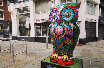 'Sherwood The Wise' Owl sculpture, Nottingham 