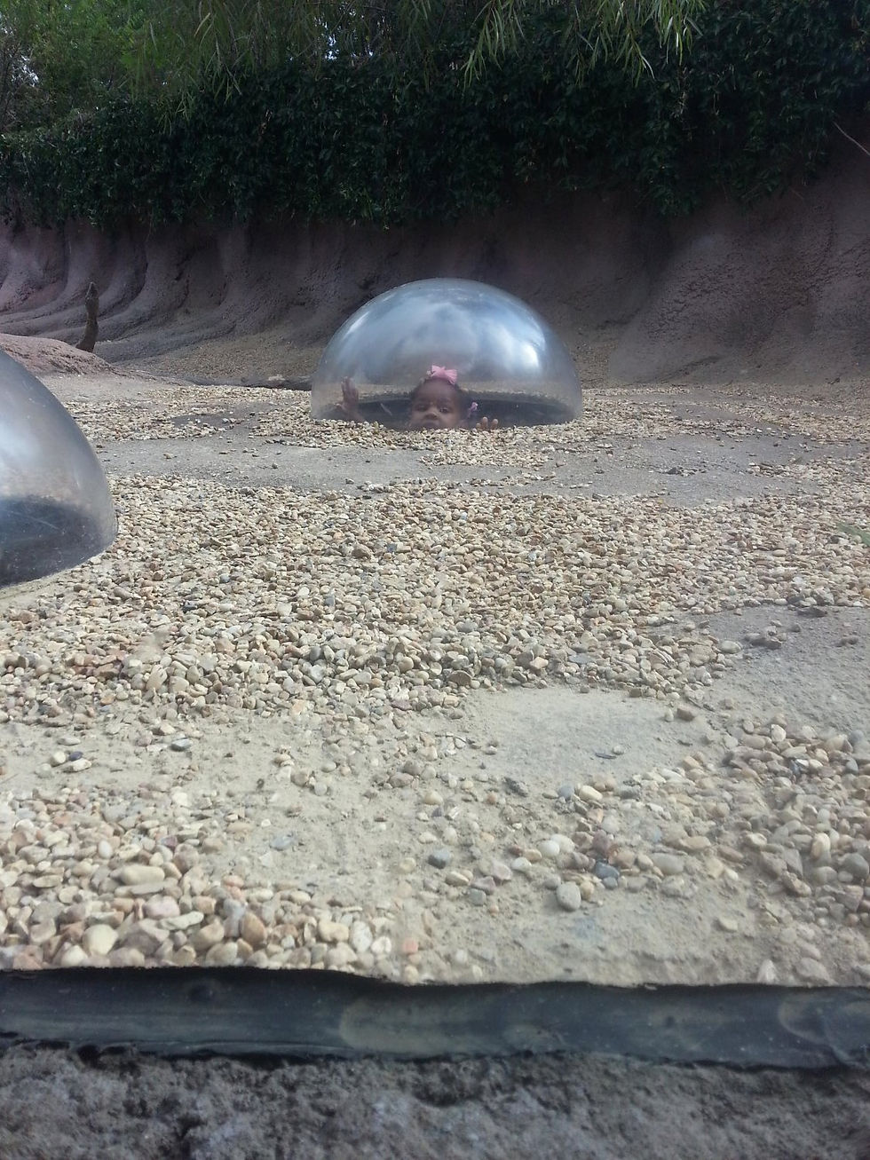 Edited Image 2015-6-25-11:39:2