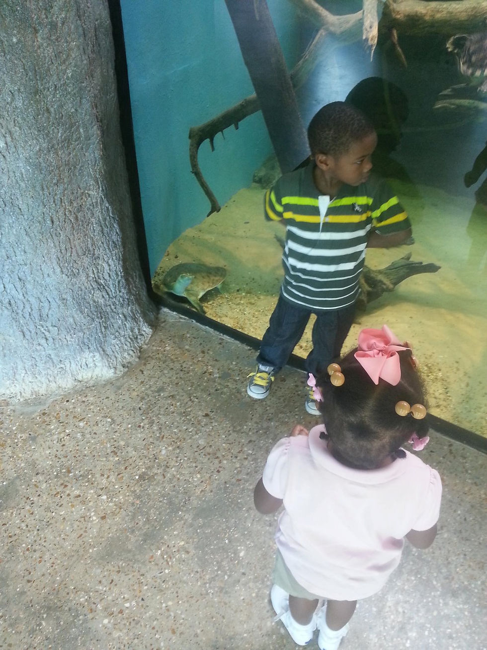 Edited Image 2015-6-25-11:38:15